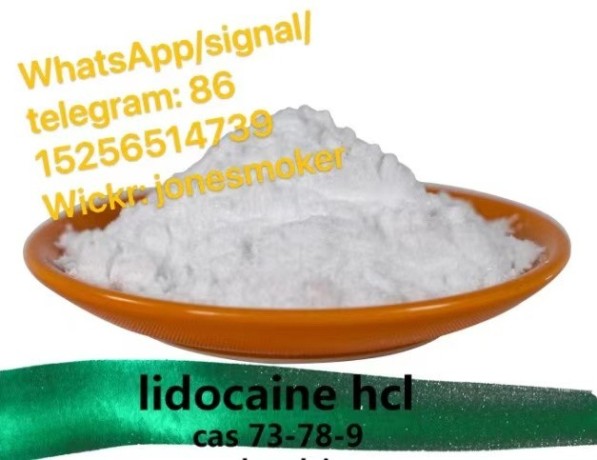 top-supplier-lidocaine-hcl-cas-73-78-9-big-2